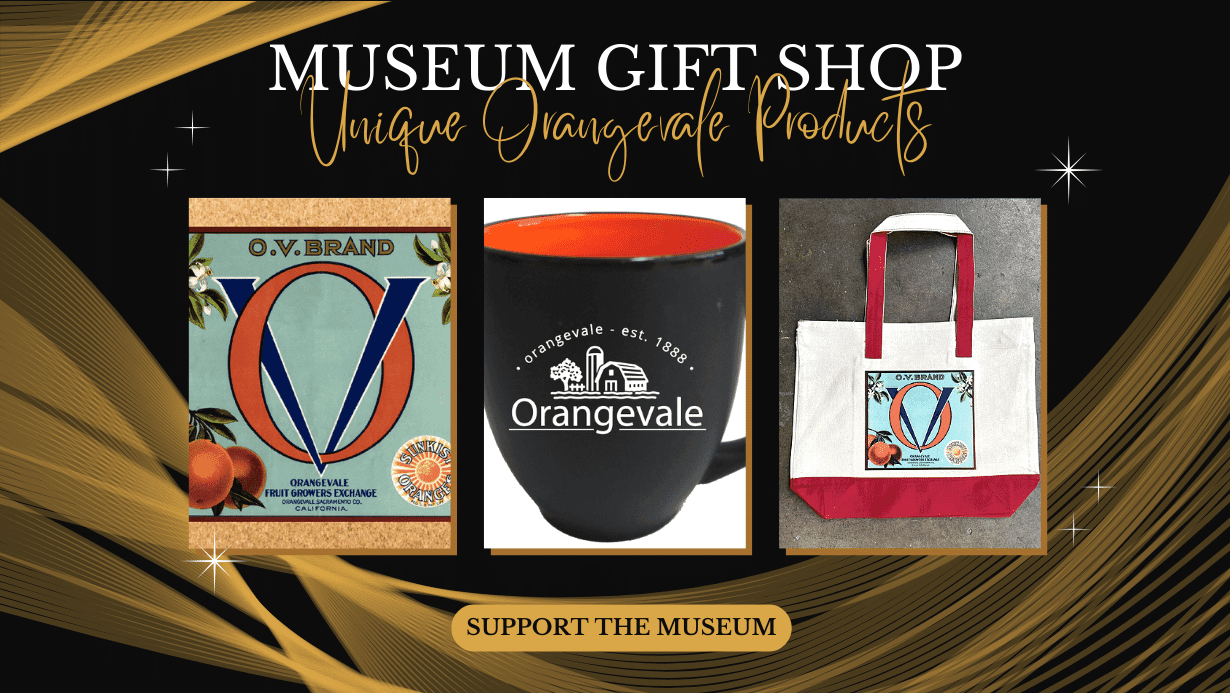 Visit the Museum